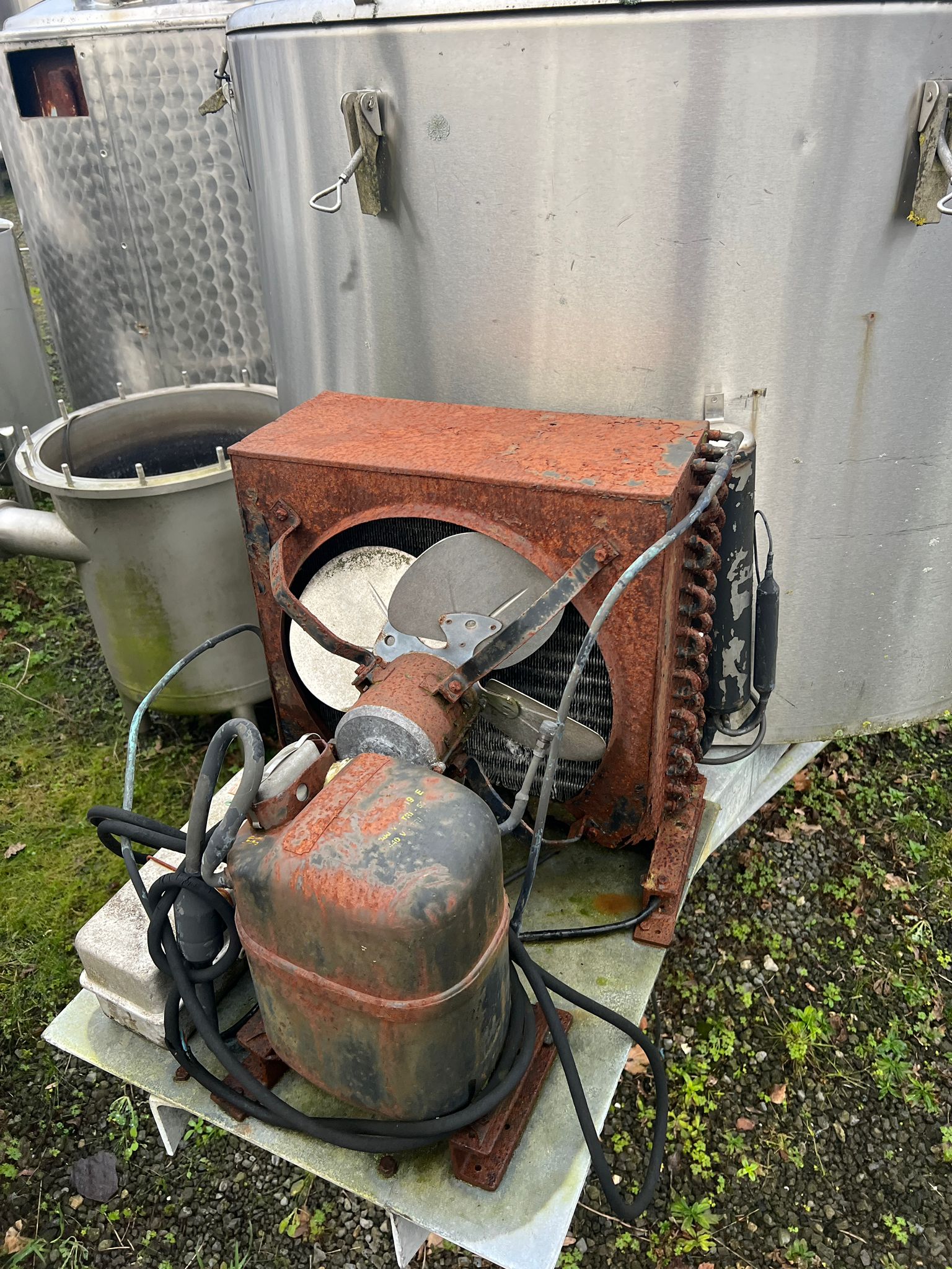 800